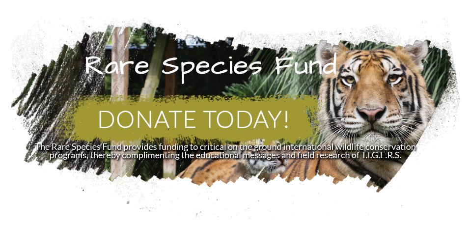Donate to the Rare Species Fund